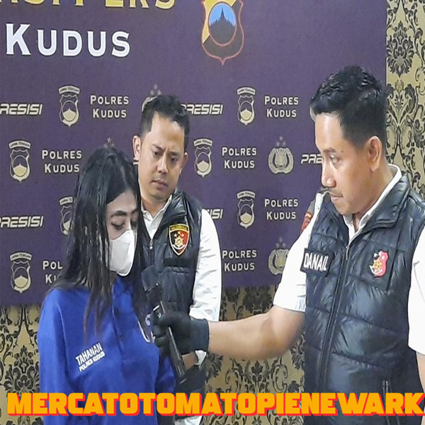 6 Fakta Mahasiswi di Kudus Jual Video Prno buat Perawatan